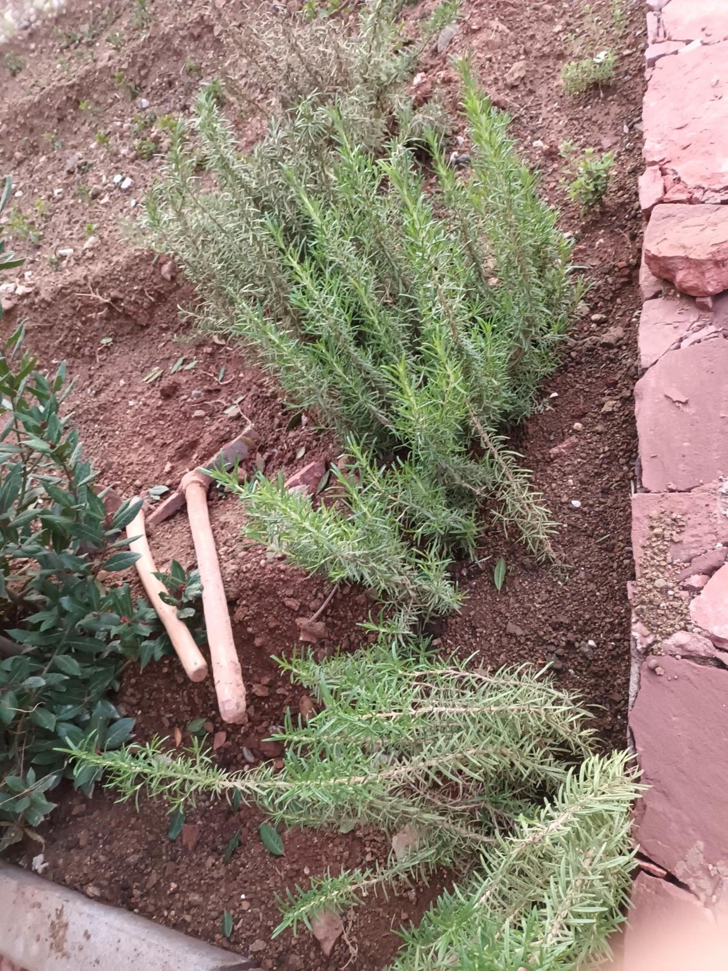 דמנאת Ecolodge Espace Tamount מראה חיצוני תמונה