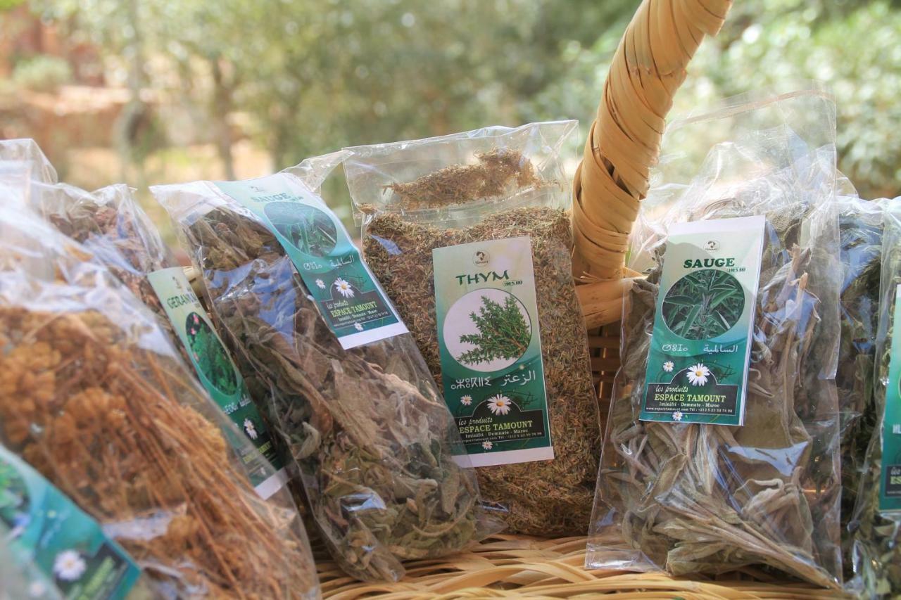 דמנאת Ecolodge Espace Tamount מראה חיצוני תמונה