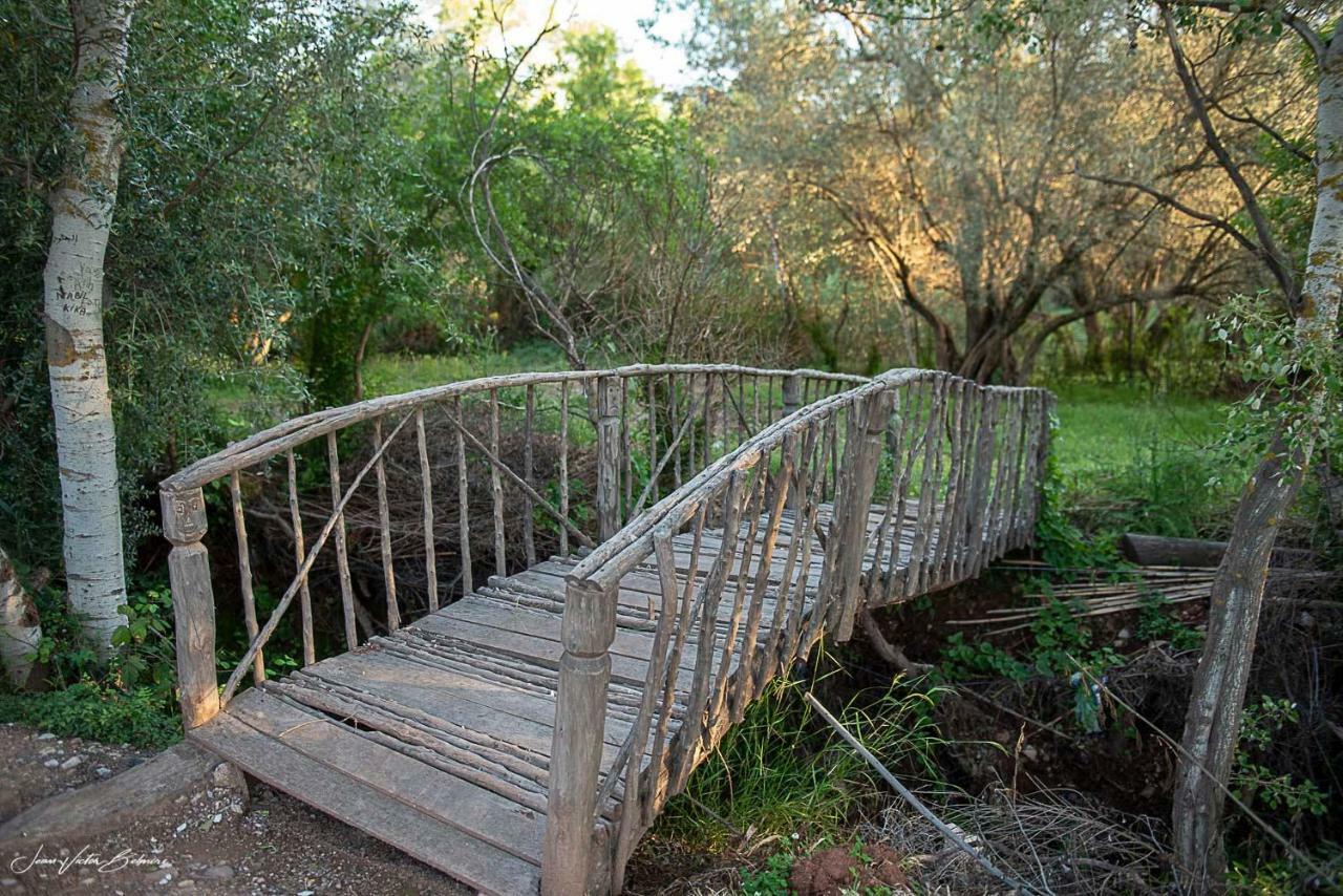 דמנאת Ecolodge Espace Tamount מראה חיצוני תמונה