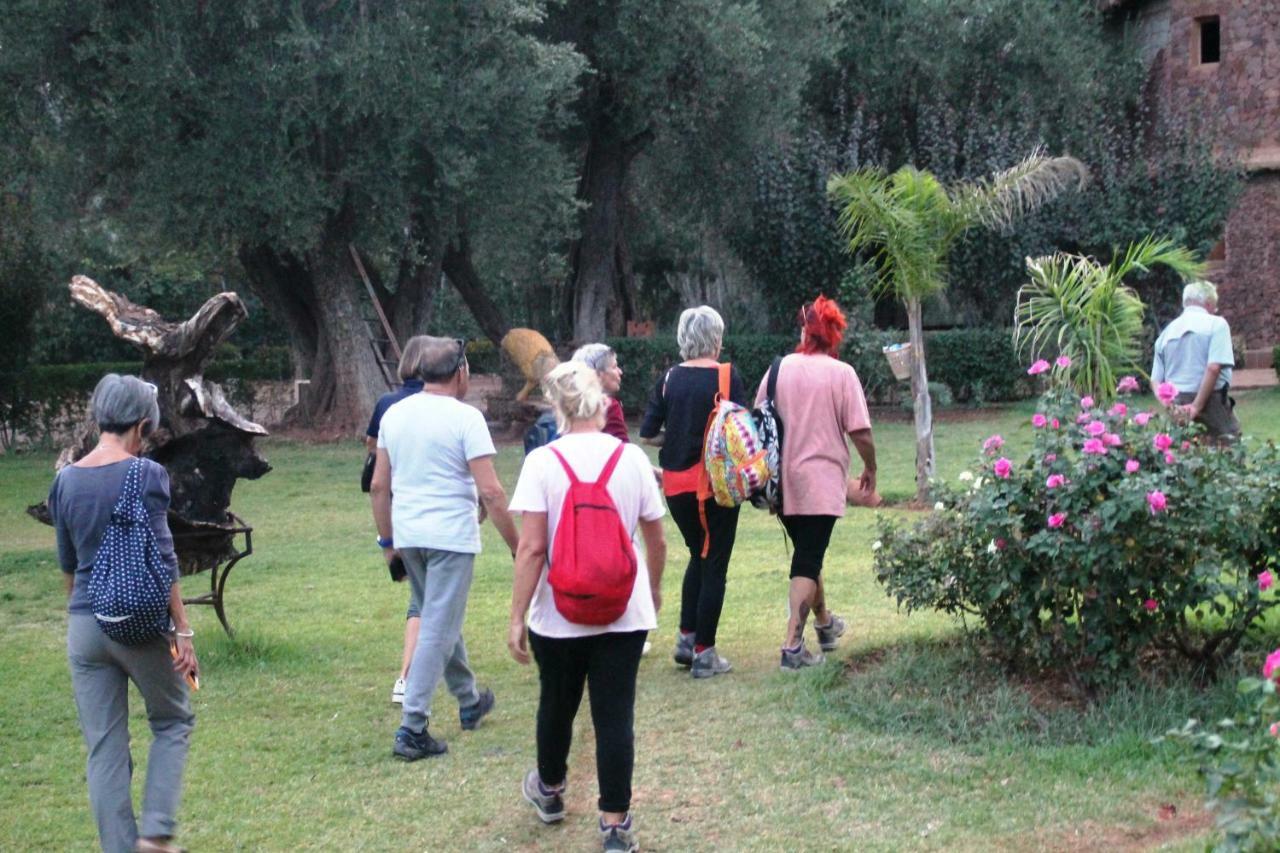 דמנאת Ecolodge Espace Tamount מראה חיצוני תמונה