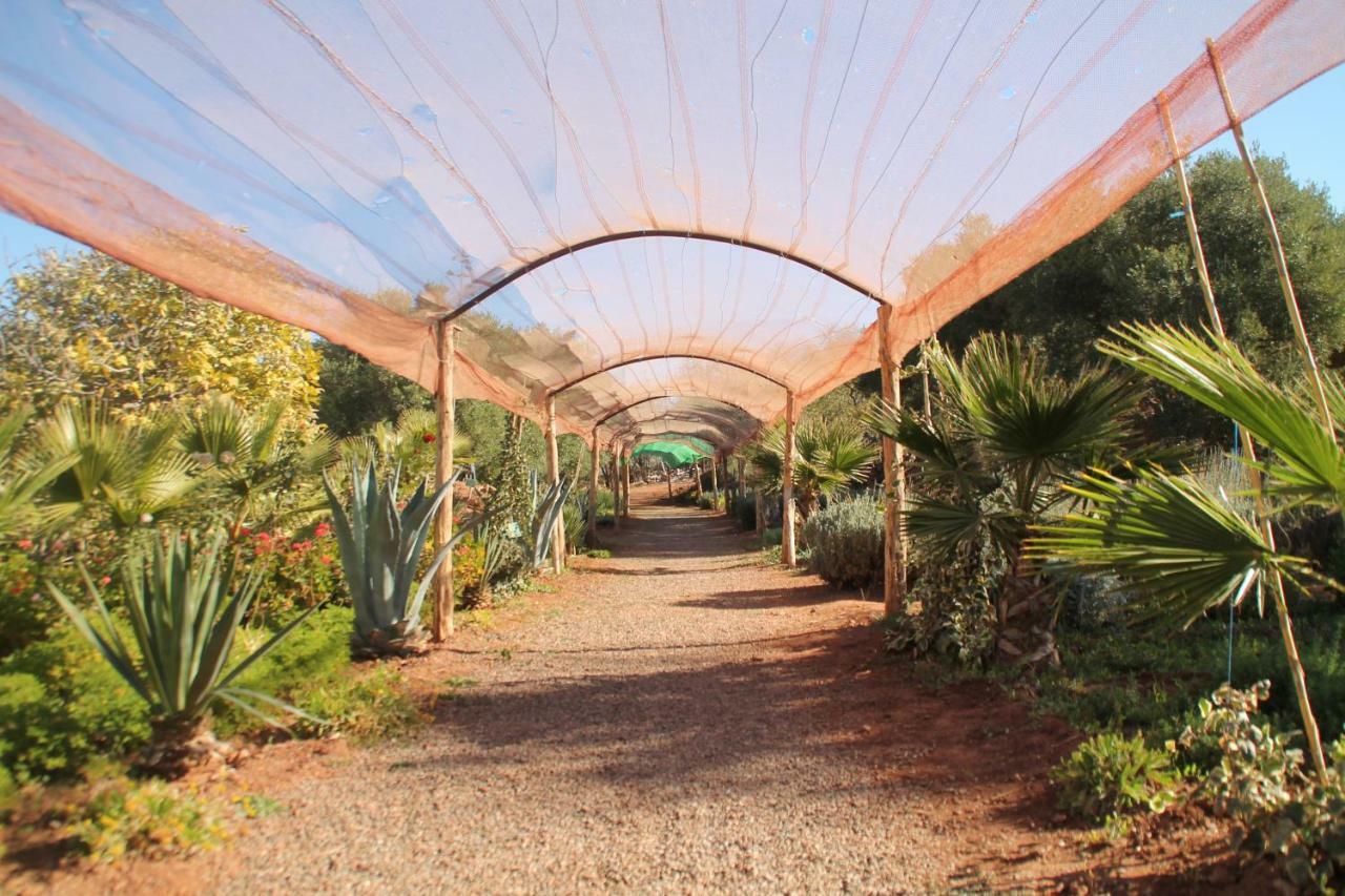 דמנאת Ecolodge Espace Tamount מראה חיצוני תמונה